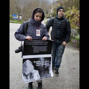 studenti del corso di grafica con i pannelli da incollare