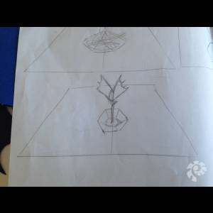 IMG_3445_original_original